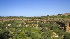 92100 Agrigento, Province of Agrigento, Italy panoramic view