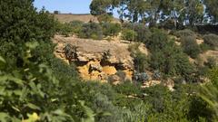 Archaeological site in Agrigento, Sicily