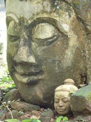 Buddha statues in a park at Wat Umong Putthatham, Chiang Mai