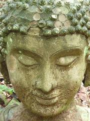 Buddha statue in park at Wat Umong Putthatham, Chiang Mai