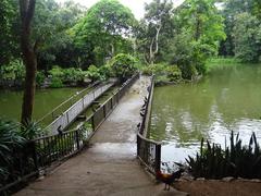 Pond of Wat Umong Suan Phutthatham in Chiang Mai