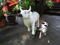 Statues of a cow and a calf at Wat Umong Suan Phutthatham in Chiang Mai