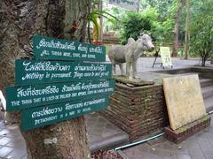 Talking tree at Wat Umong Suan Phutthatham