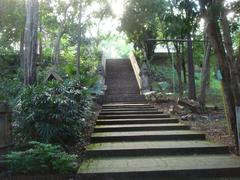 outside stairs at Wat Umong in Chiang Mai