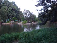 Pond at Wat Umong, Chiang Mai