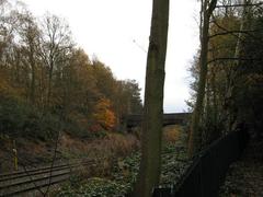 Bridge over freight railway line near Blackroot Pool in Sutton Park