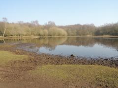 Little Bracebridge in Sutton Park