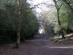 Scenic countryside view of Upper Nut Hurst with trees, fields, and a clear sky