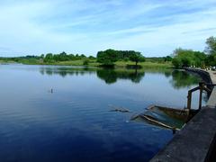 Longmoor Pool in Sutton Park during summer 2007