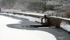 Longmoor Pool covered in ice during winter 2007