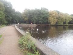 Longmoor Pool in Sutton Park with surrounding greenery