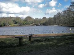 Looking across Blackroot Pool with trees and sky