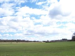 open field in Sutton Park