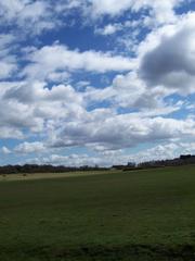 Open field in Sutton Park