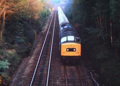 Peak locomotive heading west through Sutton Park in Autumn 1978