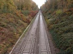 Railway line passing through Sutton Park