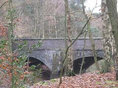 Railway bridge over Blackroot Pool in Sutton Park