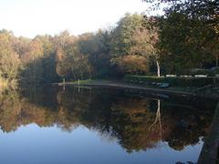 Reflections in Bracebridge Pool