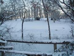 Snowy Sutton Park golf area on December 28, 2000