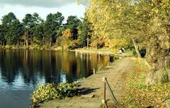 Blackroot Pool in Sutton Park