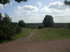 View of Sutton Park's Longmoor valley with Longmoor pool