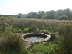 Sutton Park Rowtons Well natural spring