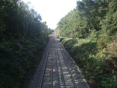 Sutton Park Railway in Sutton Park towards Streetly