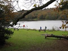 Blackroot Pool Sutton Park