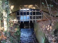 Bracebridge Pool overflow and drainage channel