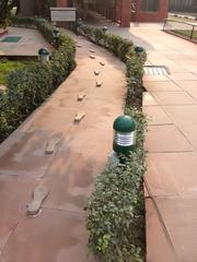 footsteps at Gandhi Smriti in New Delhi