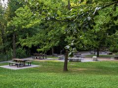 Scenery and animals of Langenau Wild Park Zurich