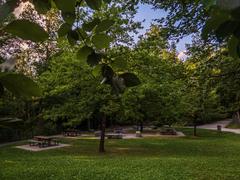 wild park landscape with animals