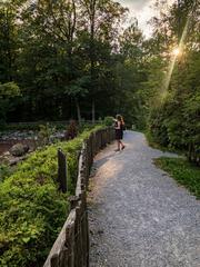 Scenic view of Langenau Wild Park in Zurich with animals