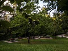 Scenic view of Langenau Wild Park in Zurich featuring animals in their natural habitat