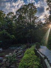 Scenery and animals of Langenau Wild Park Zurich