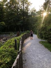 Scenic view of animal habitats at Langenau Wild Park Zürich