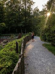 Scenery and animals of Langenau Wild Park in Zurich