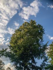 Scenery and animals at Langenau Wild Park in Zurich