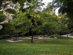 Scenic view of Langenau Wild Park Zurich