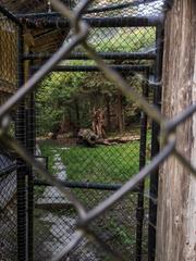 Scenic view of Langenau Wild Park with animals in Zurich