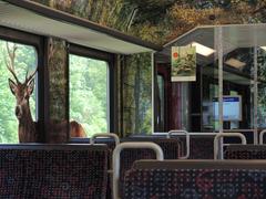 Sihltal Zürich Uetliberg Bahn train heading towards Wildnispark Zürich-Sihlwald