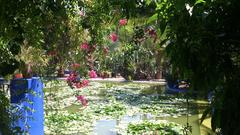 the colorful Jardin Majorelle of Marrakesh