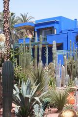 Cactus plant in Jardin Majorelle, Marrakech