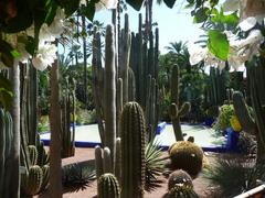 Panoramic view of Jardin Majorelle in Marrakesh