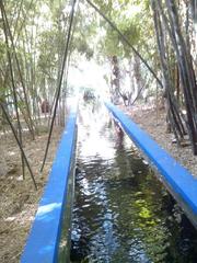 cobalt blue irrigation system in Majorelle Gardens, Morocco