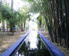 Jardin Majorelle in Marrakesh, Morocco