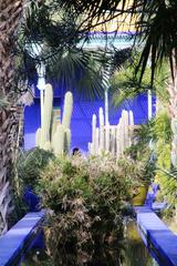 Jardin Majorelle in Marrakesh, Morocco