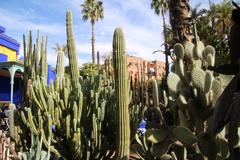 Jardin Majorelle in Marrakesh