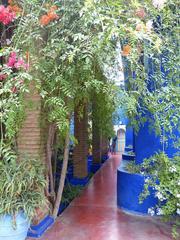 Blue cobalt buildings in Jardin de Majorelle, Marrakech, Morocco