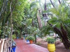 View from Jardins de Majorelle in Marrakech